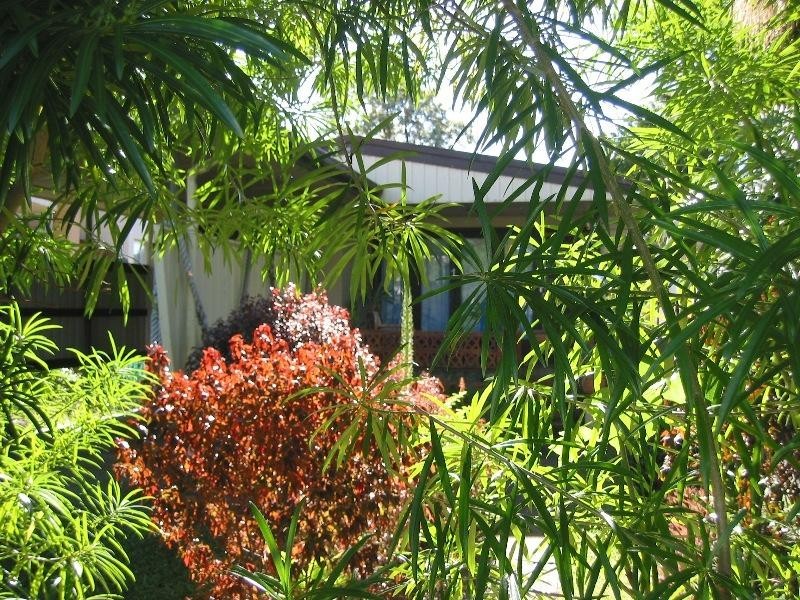 15 TWENTY FOURTH AVENUE, Palm Beach QLD 4221