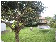 5 CHERUB STREET, Tugun QLD 4224