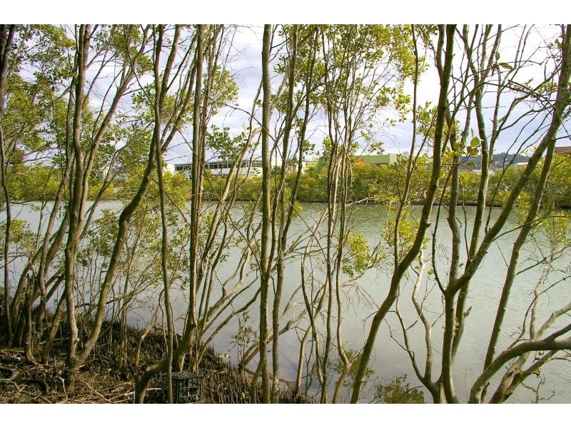 13 Reynton Street, Currumbin Waters QLD 4223