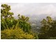 Lot 13, 463 Trees Road, Tallebudgera QLD 4228