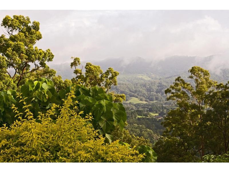 Lot 13, 463 Trees Road, Tallebudgera QLD 4228