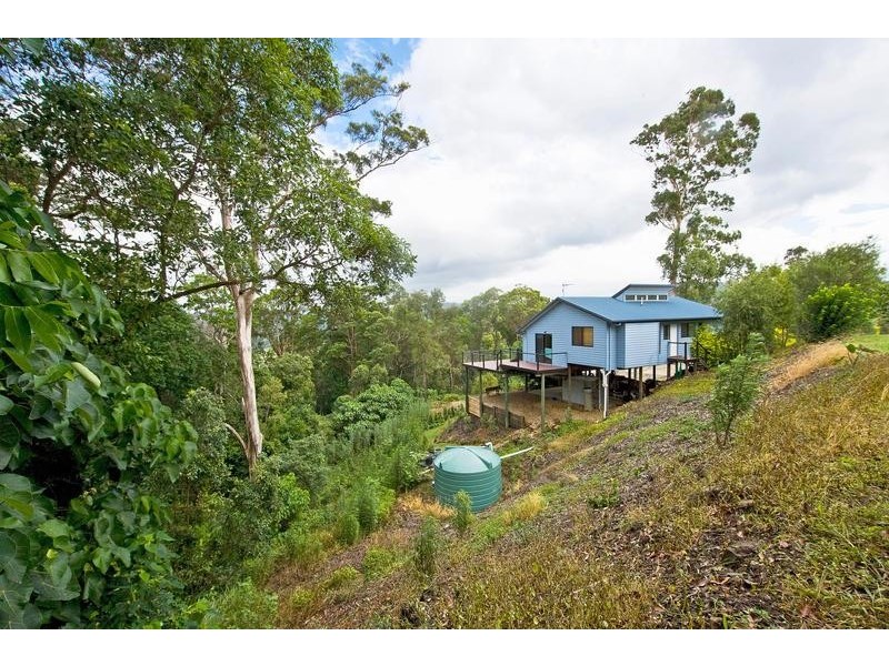 Lot 13, 463 Trees Road, Tallebudgera QLD 4228