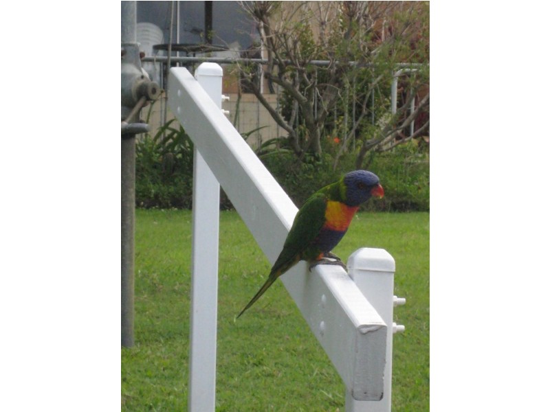 520 Gold Coast Highway, Tugun QLD 4224