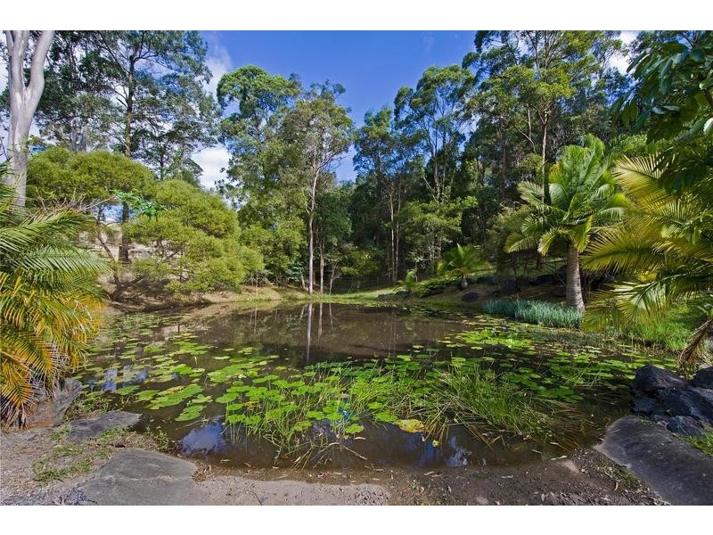 114 Trees Road, Tallebudgera QLD 4228