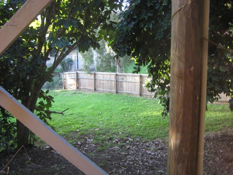 16 Kaffia Court, Elanora QLD 4221