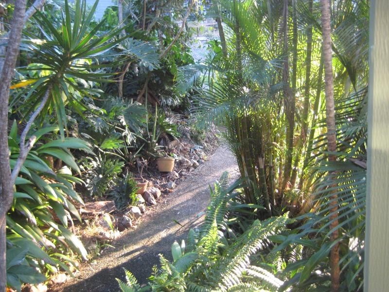 16 Kaffia Court, Elanora QLD 4221