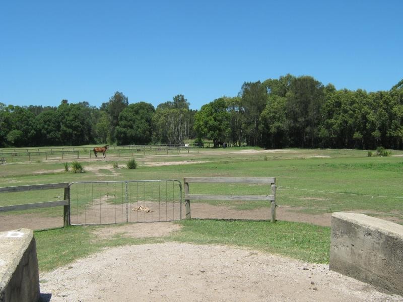 33 Daffodil Street, Tallebudgera QLD 4228