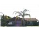 71 Ironbark Street, Elanora QLD 4221