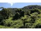 73 Estelle Road, Currumbin Valley QLD 4223