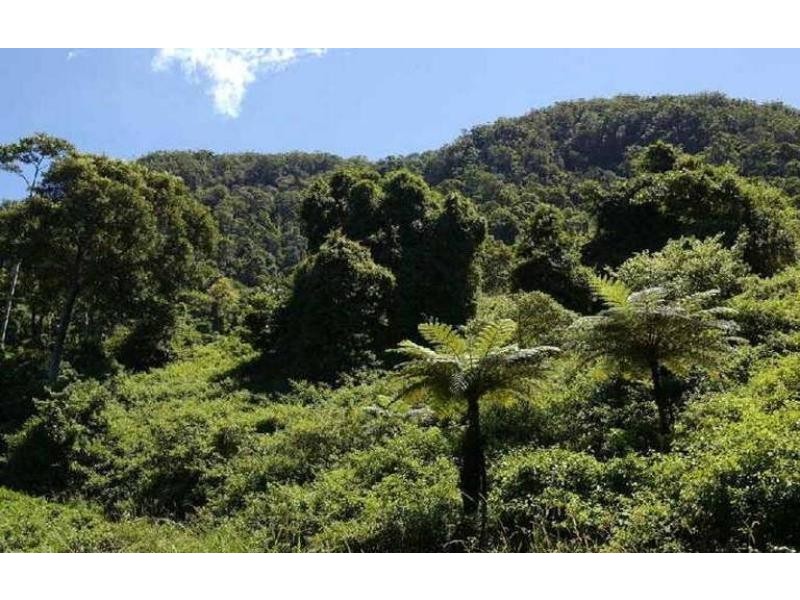 73 Estelle Road, Currumbin Valley QLD 4223
