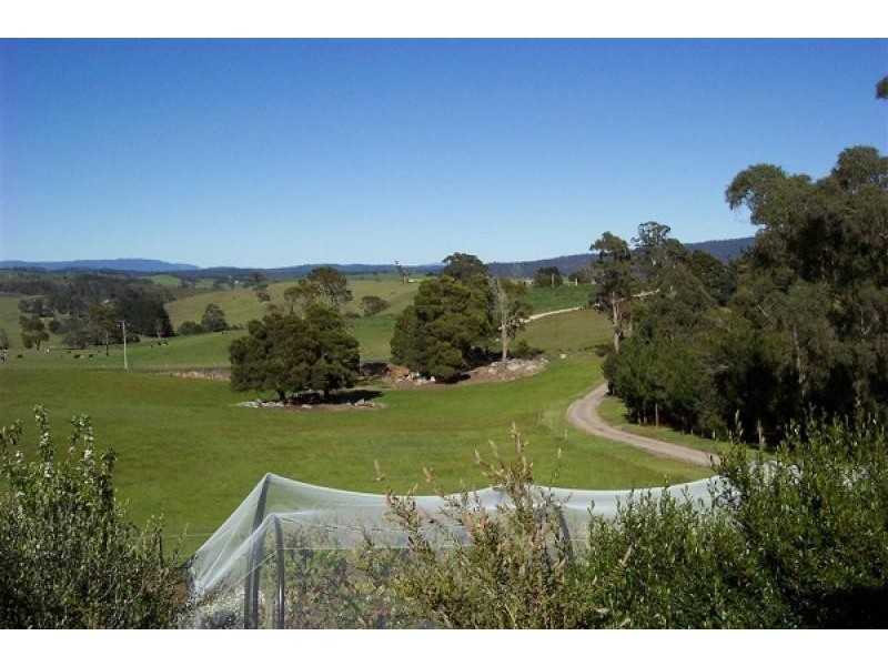 370 BANCA ROAD, Winnaleah TAS 7265