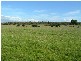578 SANDY POINTS ROAD, Bridport TAS 7262