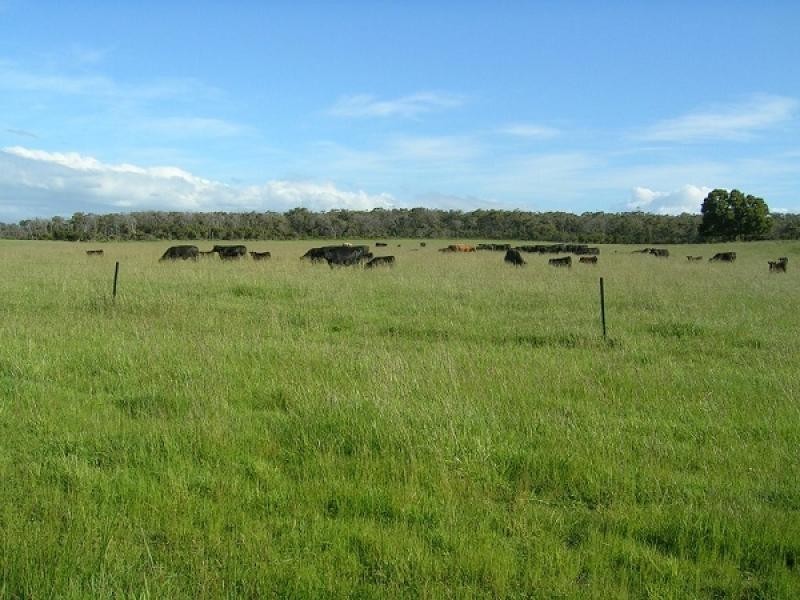578 SANDY POINTS ROAD, Bridport TAS 7262