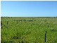 578 SANDY POINTS ROAD, Bridport TAS 7262