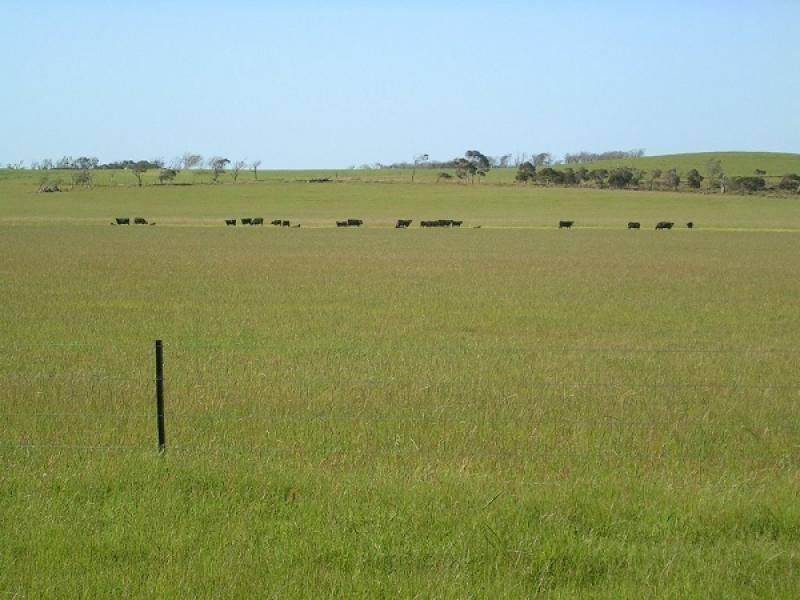 578 SANDY POINTS ROAD, Bridport TAS 7262