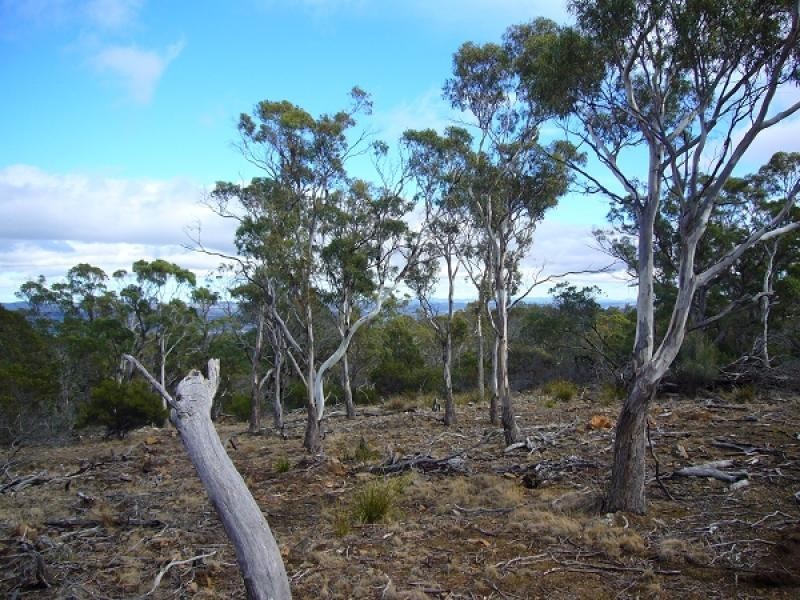 347 Boomer Road, Waverley TAS 7250