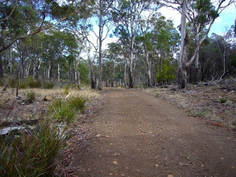 347 Boomer Road, Waverley TAS 7250