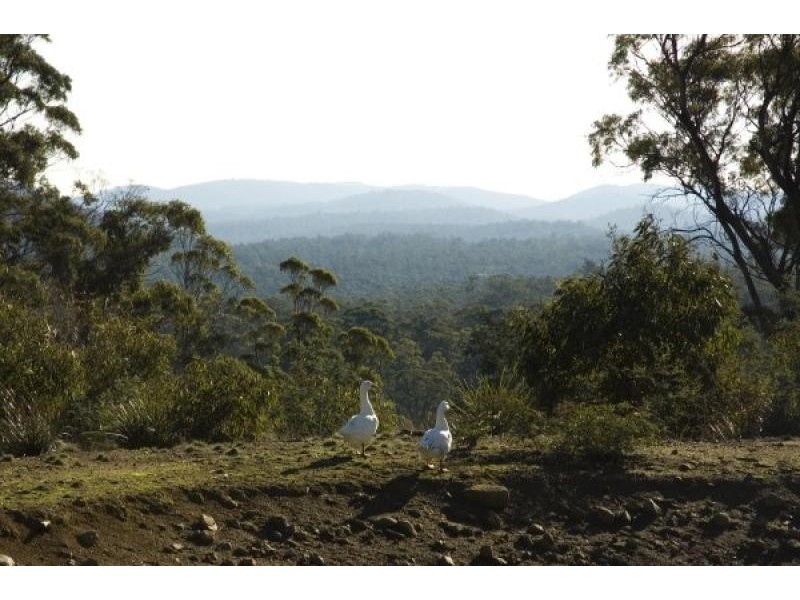 620 Lilydale Road, Underwood TAS 7268