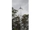 620 Lilydale Road, Underwood TAS 7268