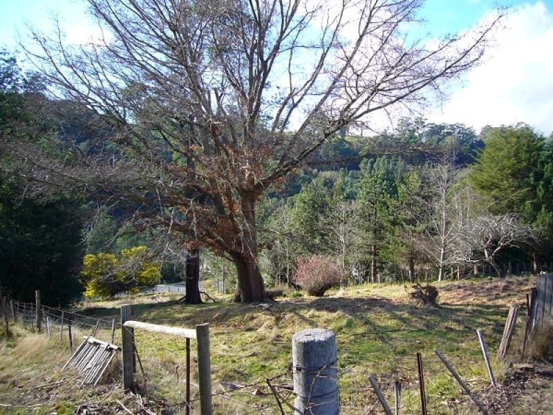 2 Main Street, Derby TAS 7264