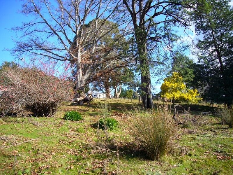 2 Main Street, Derby TAS 7264