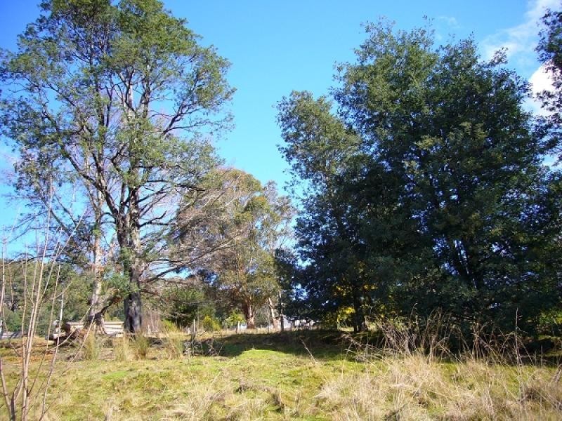 2 Main Street, Derby TAS 7264