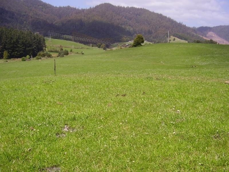 76 Whish-Wilson Road, Springfield TAS 7260