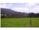 76 Whish-Wilson Road, Springfield TAS 7260