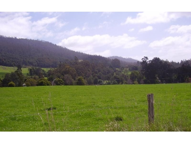 76 Whish-Wilson Road, Springfield TAS 7260