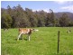 76 Whish-Wilson Road, Springfield TAS 7260