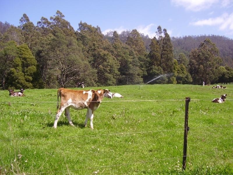 76 Whish-Wilson Road, Springfield TAS 7260