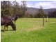76 Whish-Wilson Road, Springfield TAS 7260