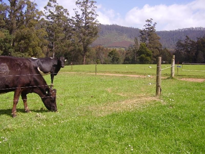 76 Whish-Wilson Road, Springfield TAS 7260