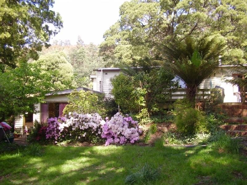 76 Whish-Wilson Road, Springfield TAS 7260