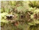 76 Whish-Wilson Road, Springfield TAS 7260