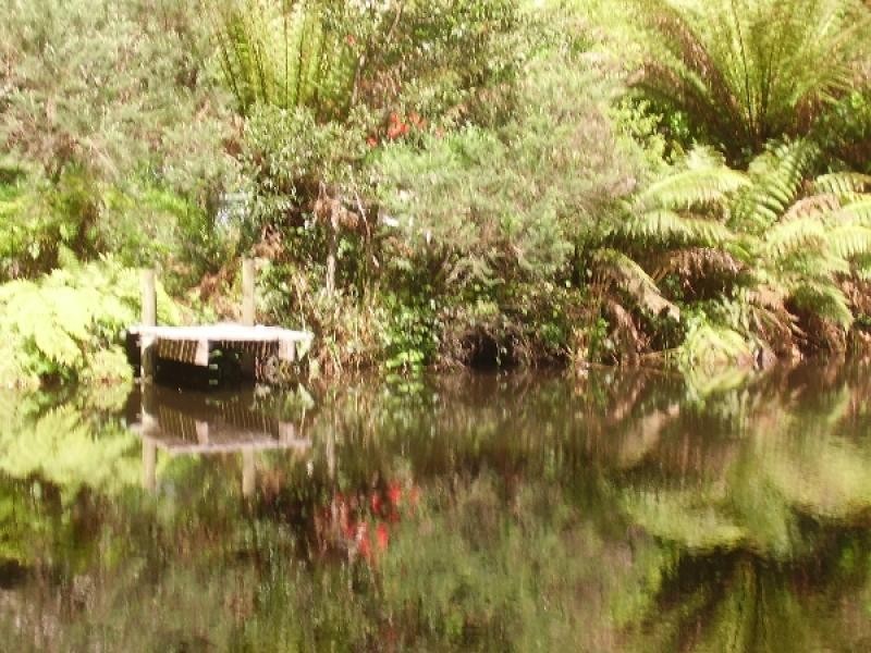76 Whish-Wilson Road, Springfield TAS 7260