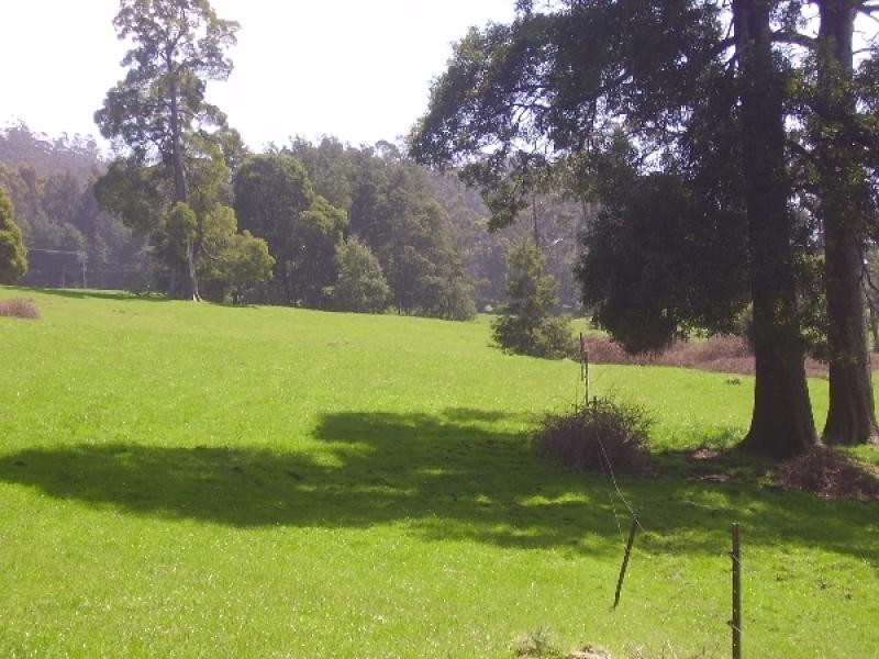 76 Whish-Wilson Road, Springfield TAS 7260