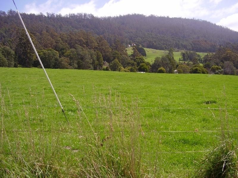 76 Whish-Wilson Road, Springfield TAS 7260