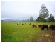 33152 Tasman Highway, Legerwood TAS 7263