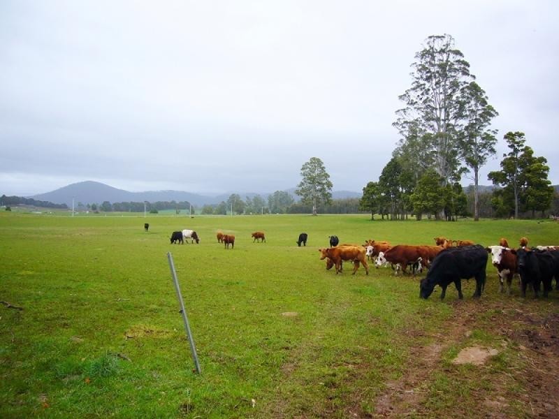 33152 Tasman Highway, Legerwood TAS 7263