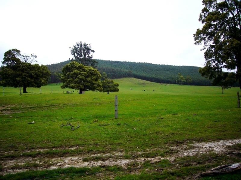 33152 Tasman Highway, Legerwood TAS 7263
