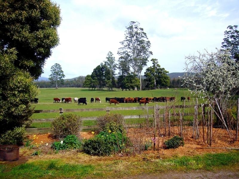 33152 Tasman Highway, Legerwood TAS 7263