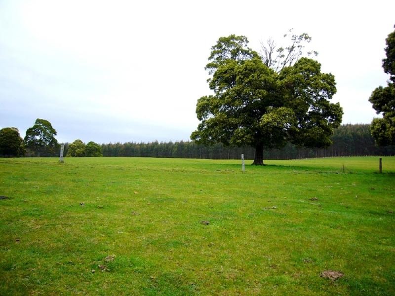 33152 Tasman Highway, Legerwood TAS 7263