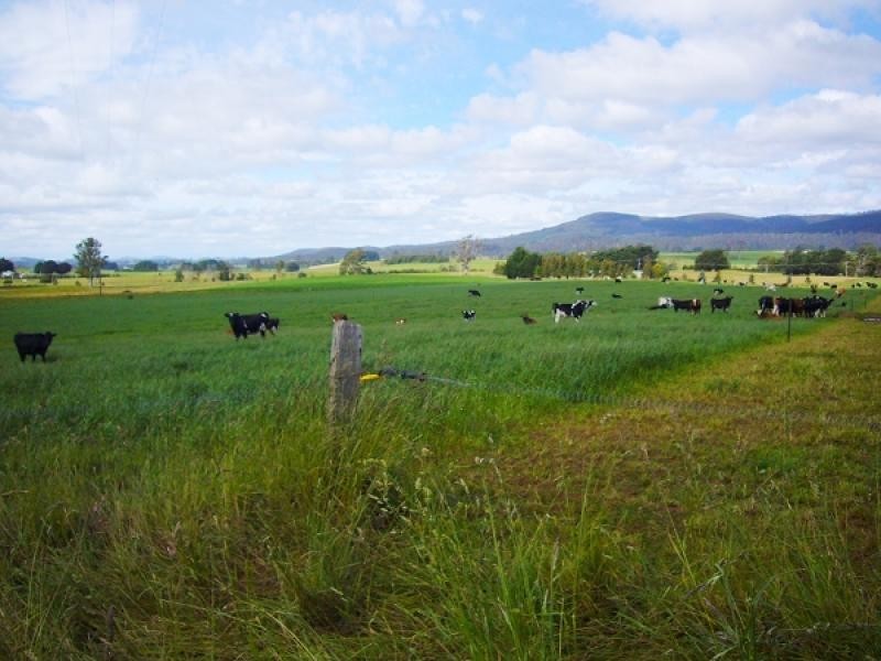 33205 Tasman Highway, Legerwood TAS 7263