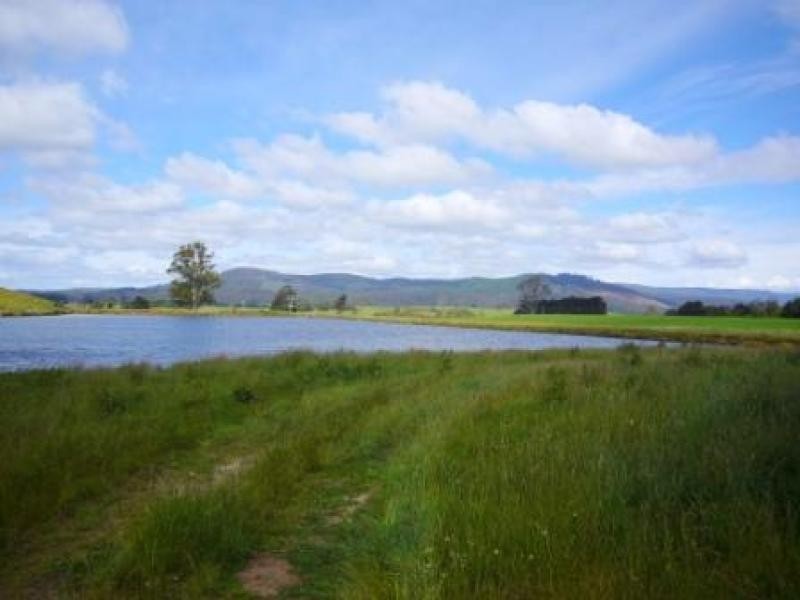 33205 Tasman Highway, Legerwood TAS 7263