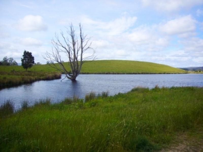 33205 Tasman Highway, Legerwood TAS 7263