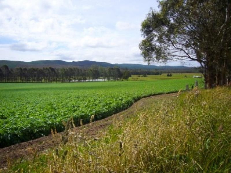 33205 Tasman Highway, Legerwood TAS 7263