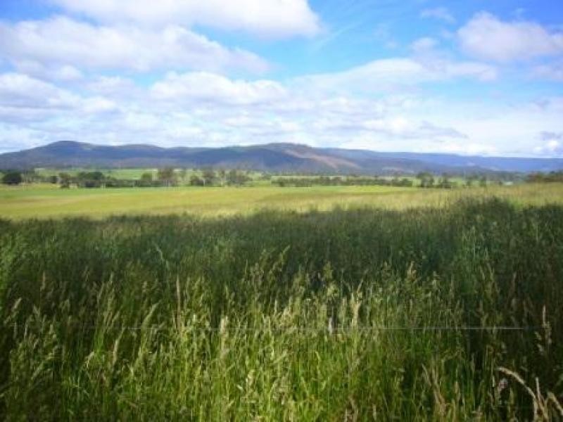 33205 Tasman Highway, Legerwood TAS 7263