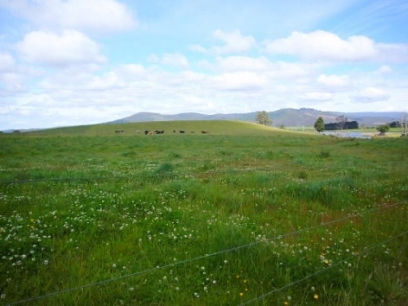 33205 Tasman Highway, Legerwood TAS 7263