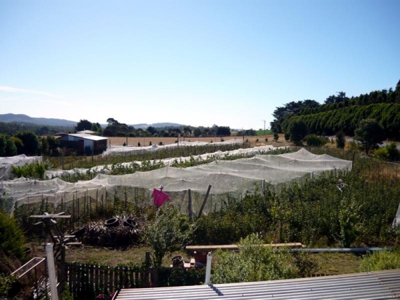 403 Bridport Road, Jetsonville TAS 7260